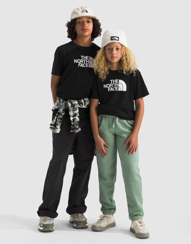 The North Face - Evolution Halfdome Tee - Teens