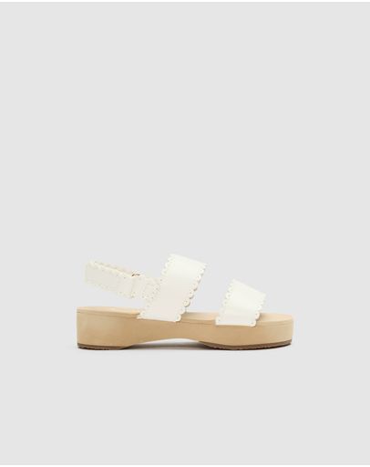 Classic Cream