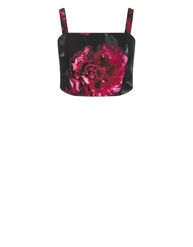 City Chic - Plus size Bianka Bloom Print Crop Top - black
