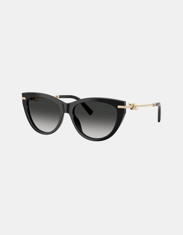 Tiffany & Co. - 0TF4253