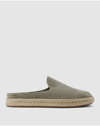 TOMS - Santiago Mule - Men's