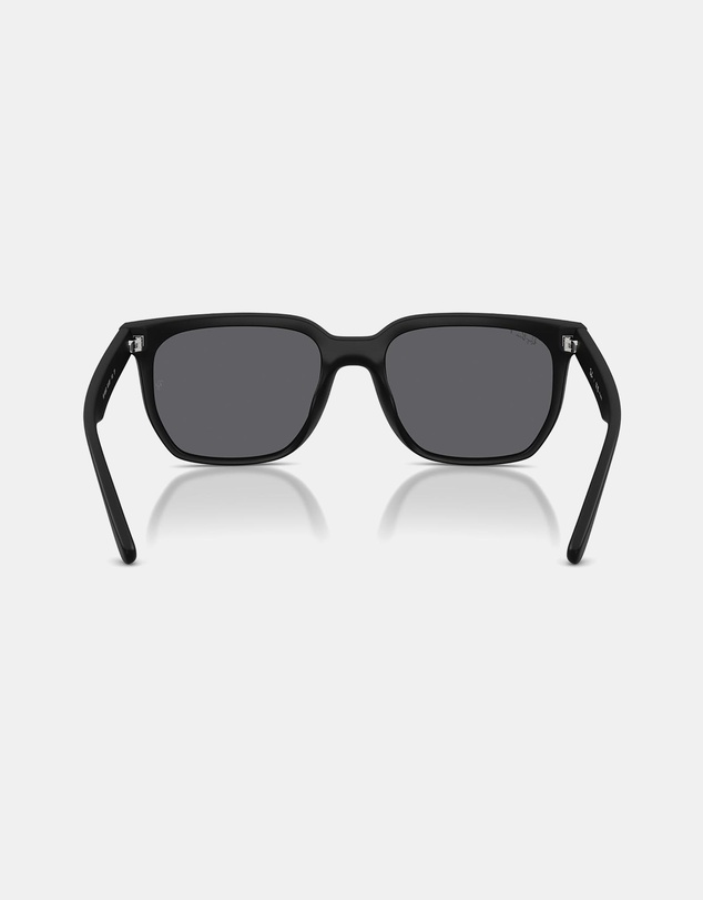 Ray-Ban - 0Rb4466D