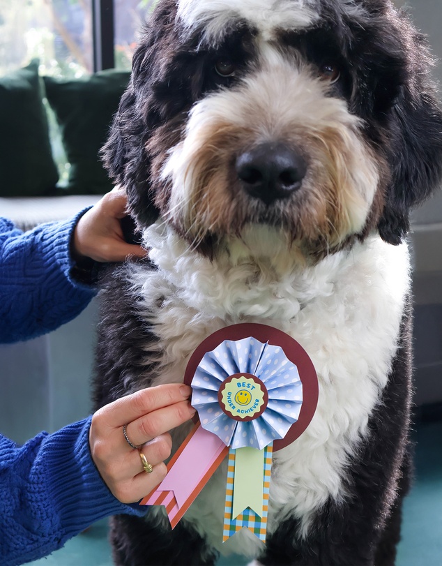 Journey Of Something - Make Your Own Paper Rosettes