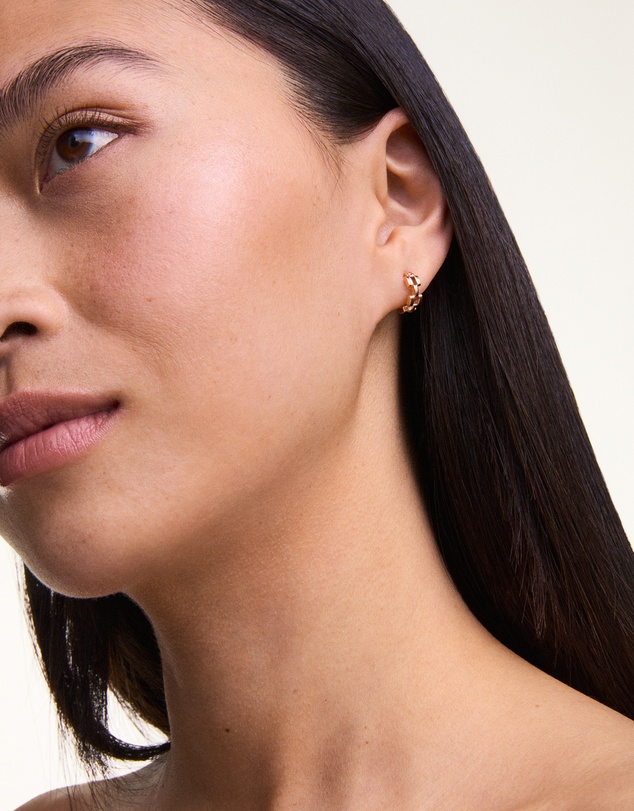Daniel Wellington - 3-Link Earrings