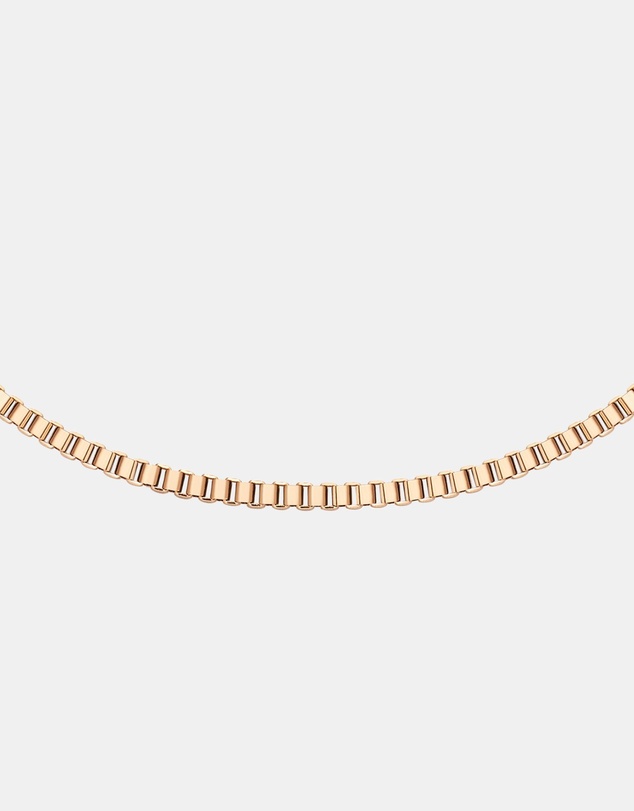 Daniel Wellington - Elan Box Chain Necklace Short