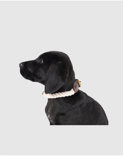 Mog & Bone - Rope & Leather Dog Collar- Natural