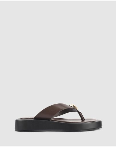 Chocolate Brown