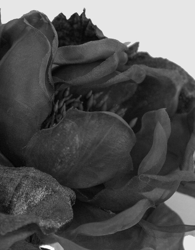 Fillies Collection - Large Black Flowers Headband