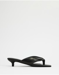 Sol Sana - Sir Heels