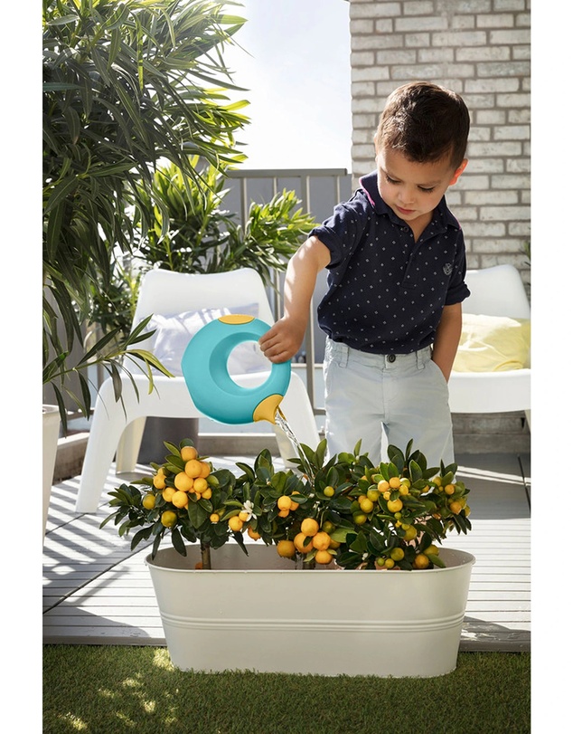 Quut - Cana Small - Banana Blue