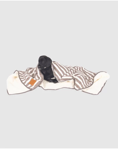 Mog & Bone - Fleece Dog Pet Blanket - Latte Hamptons Stripe Print