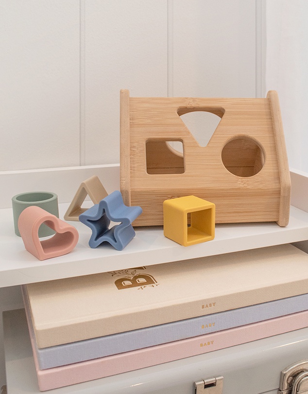 Playground - House Shape Sorter