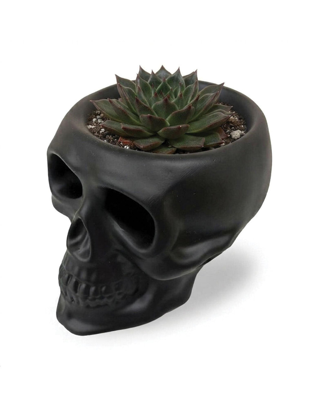 Urban Attitude - Urban Attitude Skull Statue - Matte Black