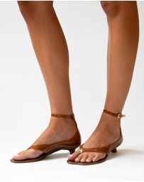 Senso - Quinlyn