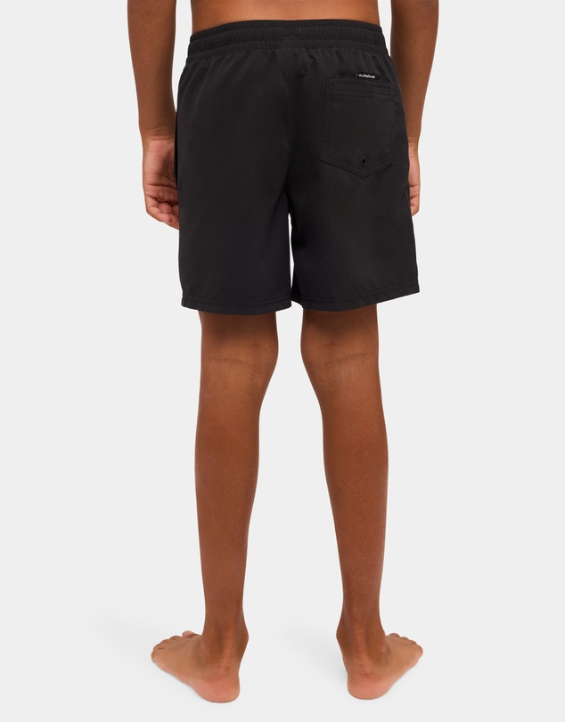 Quiksilver - Boys 8 to 16 Everyday Volley 14