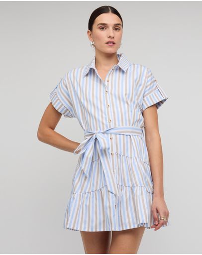Blue & Brown Stripe