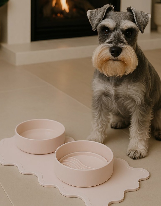 Lilly + Dash - Cat Eat and Drink Set – 2 Bowls + Lick Insert + Wave Placemat