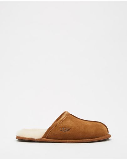 Chestnut