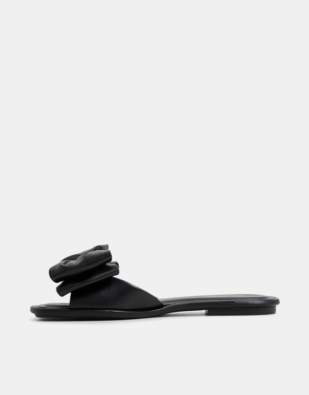 ALDO - Bowetta Ballerina & Flats