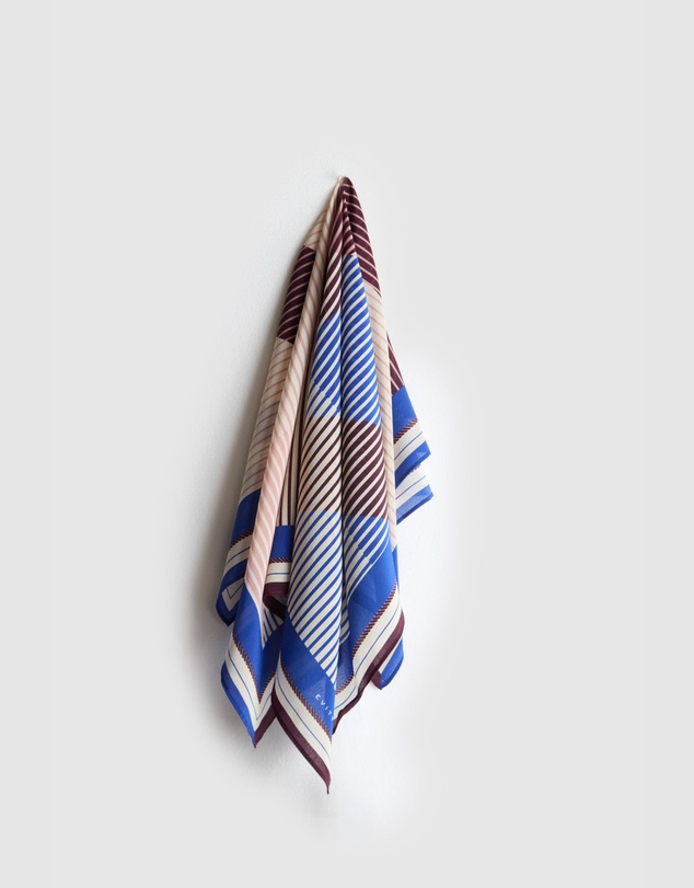 Evity - Silk Scarf Stripe Print
