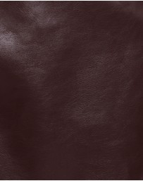 Petal & Pup - Parker Faux Leather Mini Skirt - Burgundy