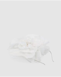 Morgan & Taylor - Cindy Fascinator