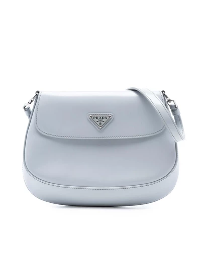 Pre-Loved by Azura Reborn - Pre-Loved Mini Brushed Leather Cleo Flap
