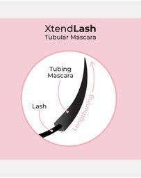 MCoBeauty - Xtendlash Tubing Mascara - Black/Brown
