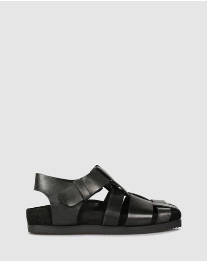 Black-900
