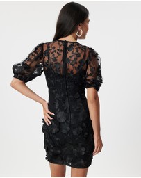 Honey and Beau - Enchanted Garden Dress