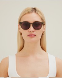 SITO Shades - Now or Never