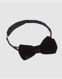 Abelard - Velvet Bowtie