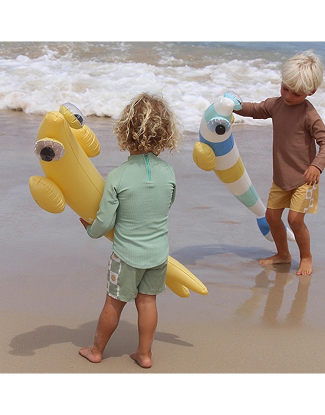 Sunnylife - Kids Inflatable Noodle Finn the Fish Multi Set of 2