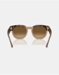 Ray-Ban - Mega Hawkeye