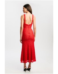 Bardot - Alegra Stretch Lace Midi Dress