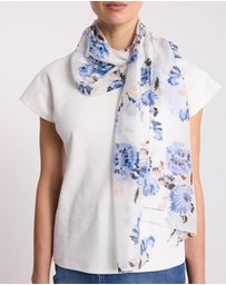 David Lawrence - Fran Silk Scarf