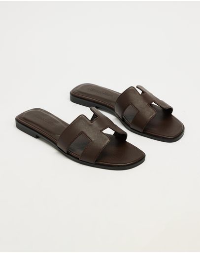 Chocolate Brown