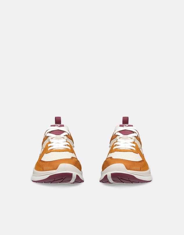 ECCO - ECCO Biom 2.2