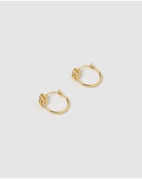 Izoa - Pretzel Hoop Earrings