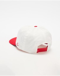 Birds of Condor - Arizona Snapback