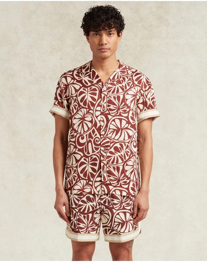 Chocolate Brown