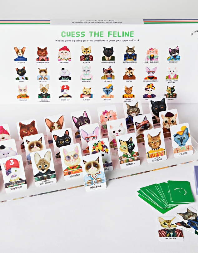 Journey Of Something - Guess the Feline