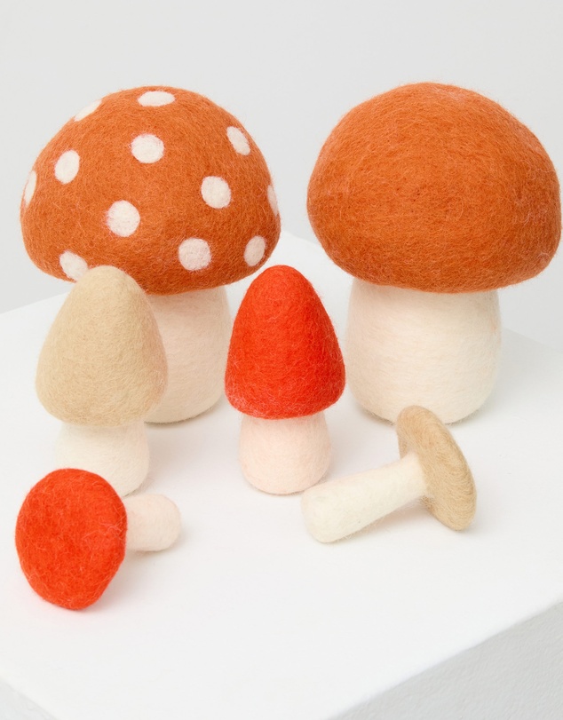 Phile - Crate of Mushrooms - Red