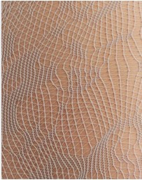 High Heel Jungle - Lola Lace Tights