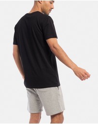 Xander - 3-Pack Palace Tee