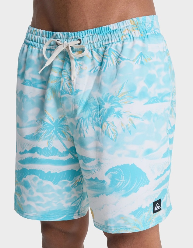 Quiksilver - Mens Stretch Printed Volley 17