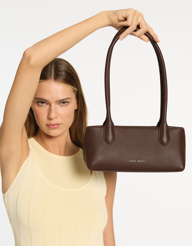 Status Anxiety - The Lost Shoulder Bag