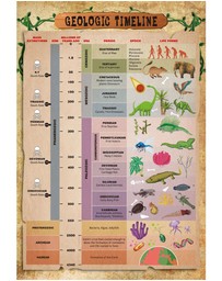 Wonderstuff - Exploring Prehistoric Life Kit