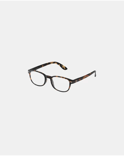 IZIPIZI - Reading Collection B Tortoise