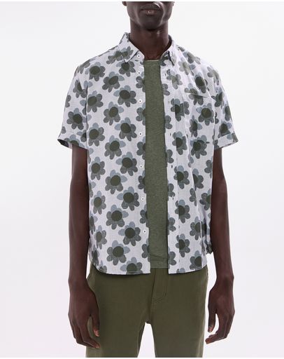 Green Multi